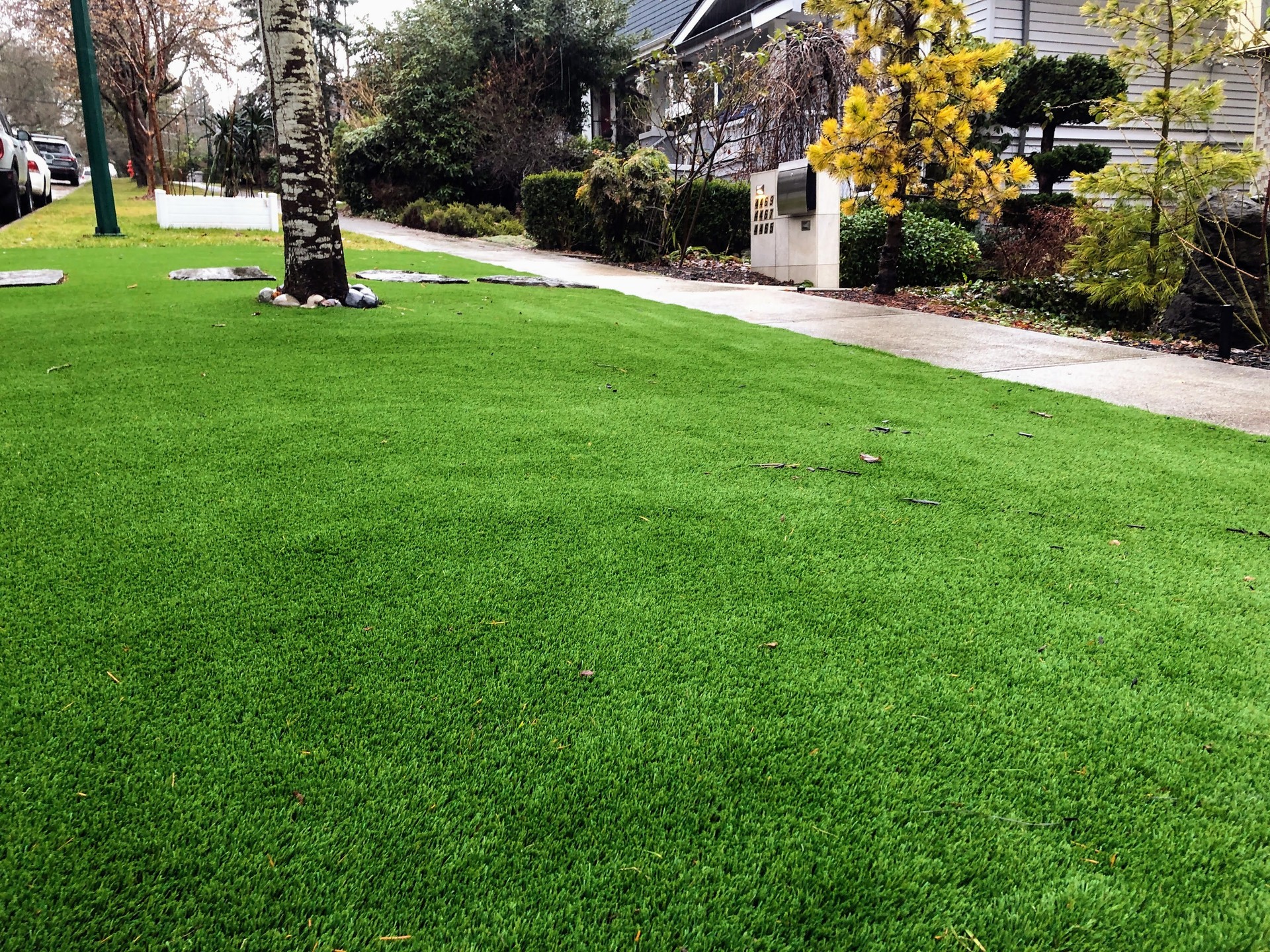 A beautiful artificial lawn in the front yard with nice flowers and shrubs surrounding it