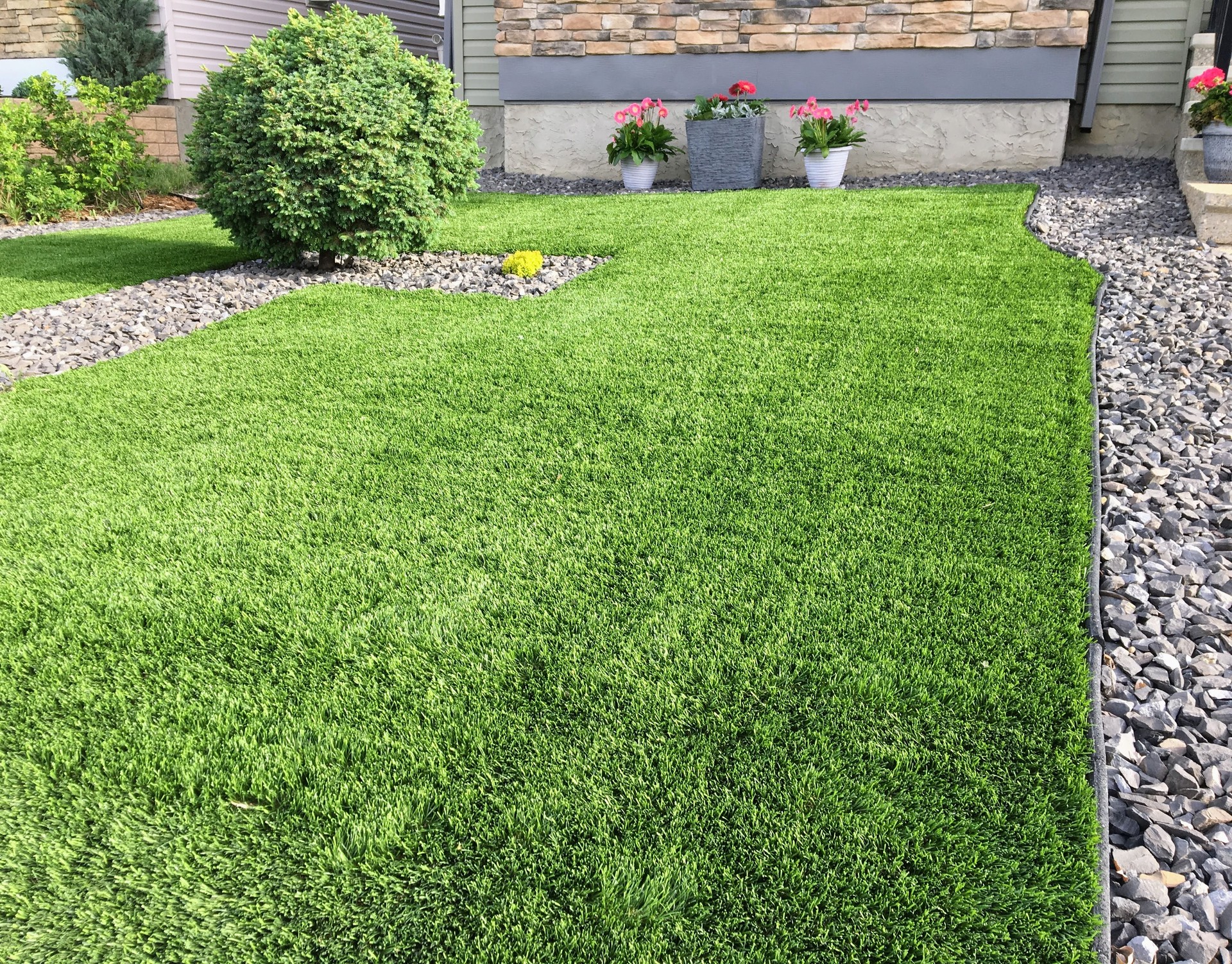 A beautiful artificial lawn in the front yard with nice flowers and shrubs surrounding it