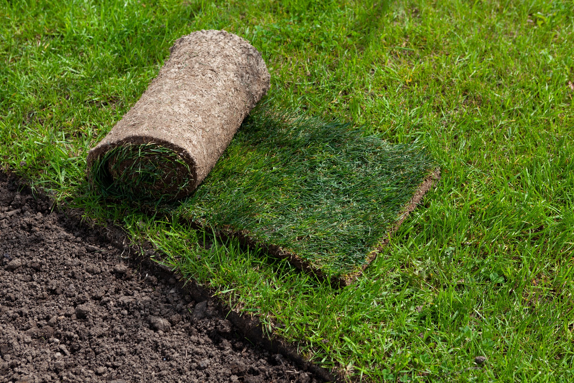 New artificial meadow. Roll of turf or turfgrass, close-up. Landscaping design, improvement of territory in the park. A quick way to improve the territory